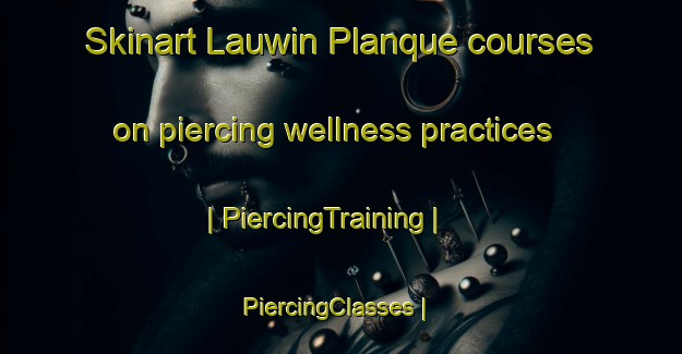 Skinart Lauwin Planque courses on piercing wellness practices | PiercingTraining | PiercingClasses | SkinartTraining-France